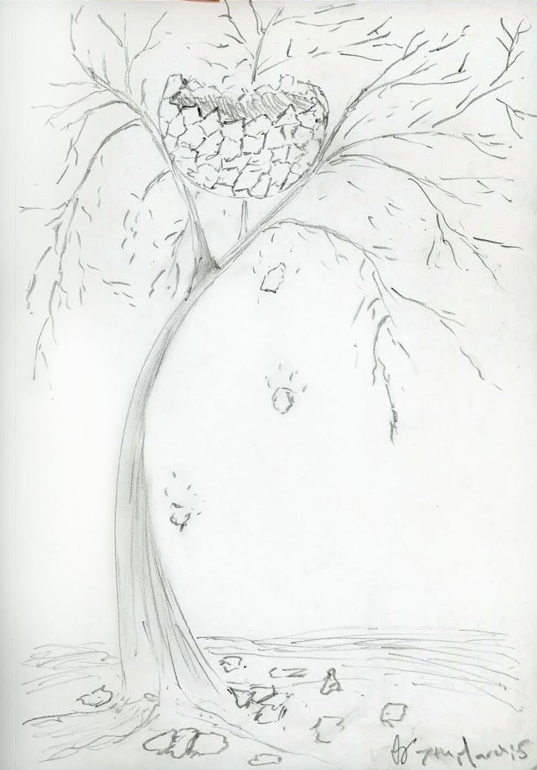 A bare tree in winter with a large empty nest held in the fork of its branches
